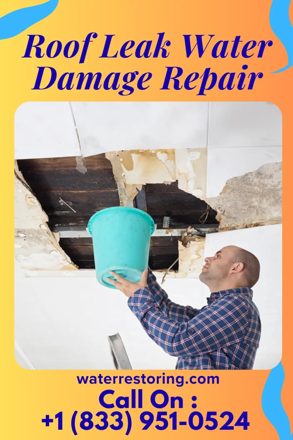 Roof Leak Water Damage Repair in Vandalia, OH