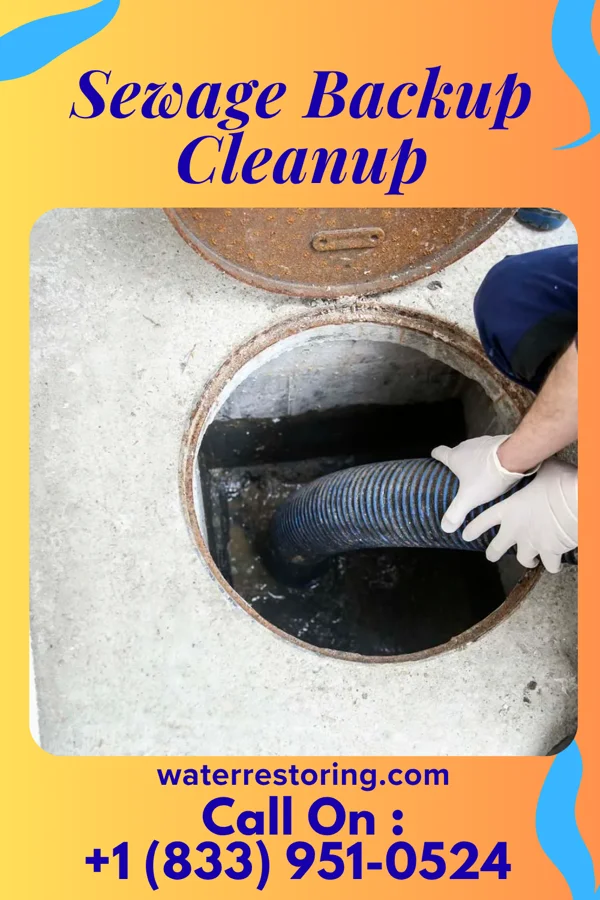 Sewage Backup Cleanup in Vandalia, OH