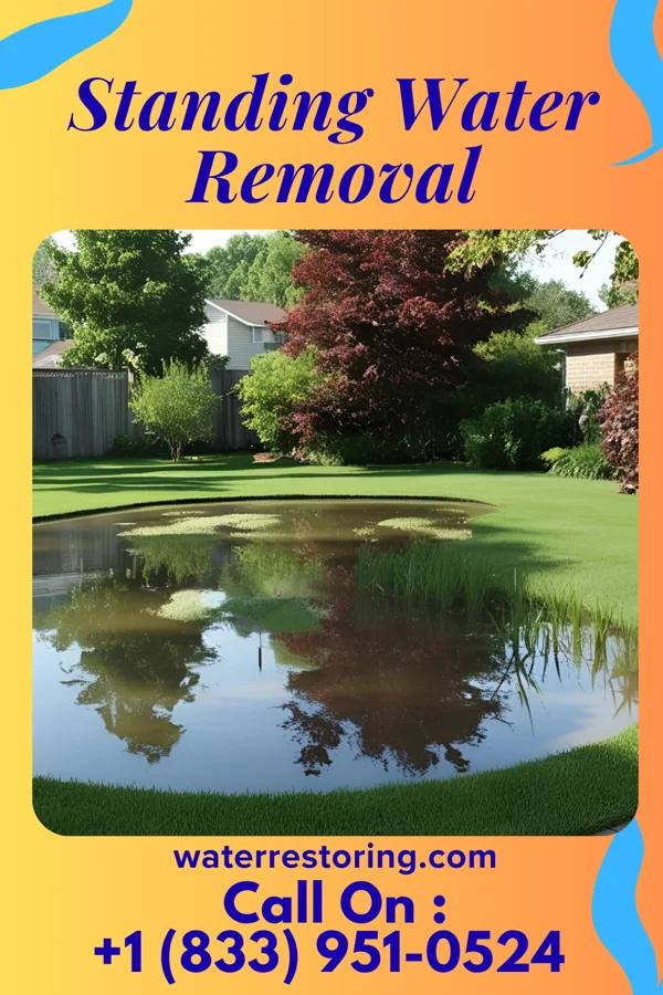 Standing Water Removal in Vandalia, OH